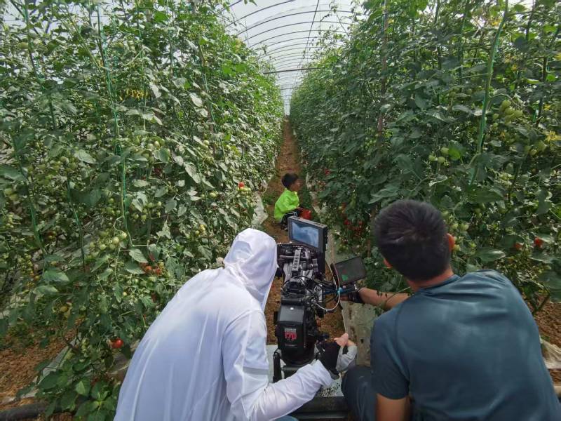 吉木乃县产品宣传视频拍摄公司进阶指南，助力品牌抢占传播高地